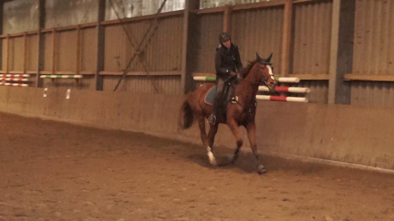 Erste Springübungen