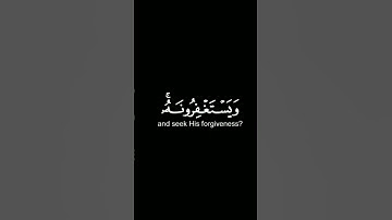 تلاوه من سوره المائده بصوت القارئ عبد الرحمن مسعد ✨ #quran #كرومات_قرآنيه_شاشه_سوداء