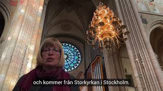 Adventsljust i domkyrkan