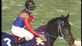 1995年 宝塚記念 G ダンツシアトル Jra公式 Youtube 1995年 宝塚記念 G ダンツシアトル Jra公式 Youtube