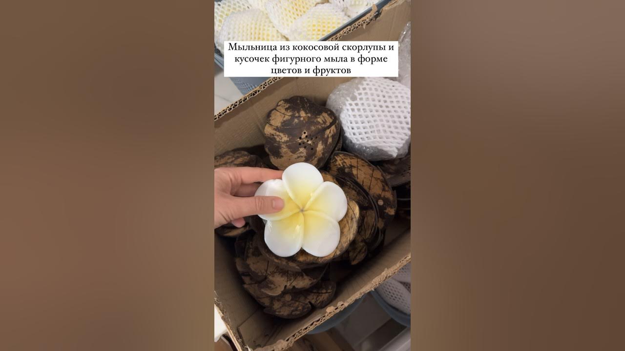 Мыльница из кокосовой скорлупы и фигурное мыло в форме цветов и фруктов ...