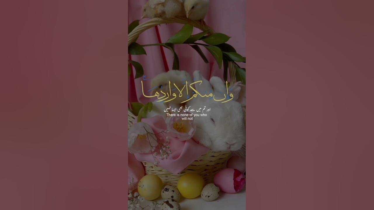 surat-mariyam-tilawat-quran-purpose-of-quran-quran-explore