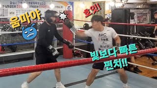 아마스타일 vs mma스타일