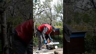 Какую топливную смесь приготовить для бензопилы? #shorts