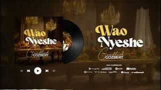 Goodluck Gozbert-Waonyeshe Audio (Reborn Experience 1)