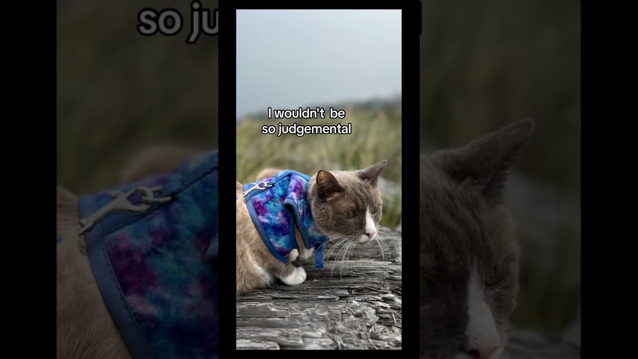 The Sebastian Chronicles Episode 1