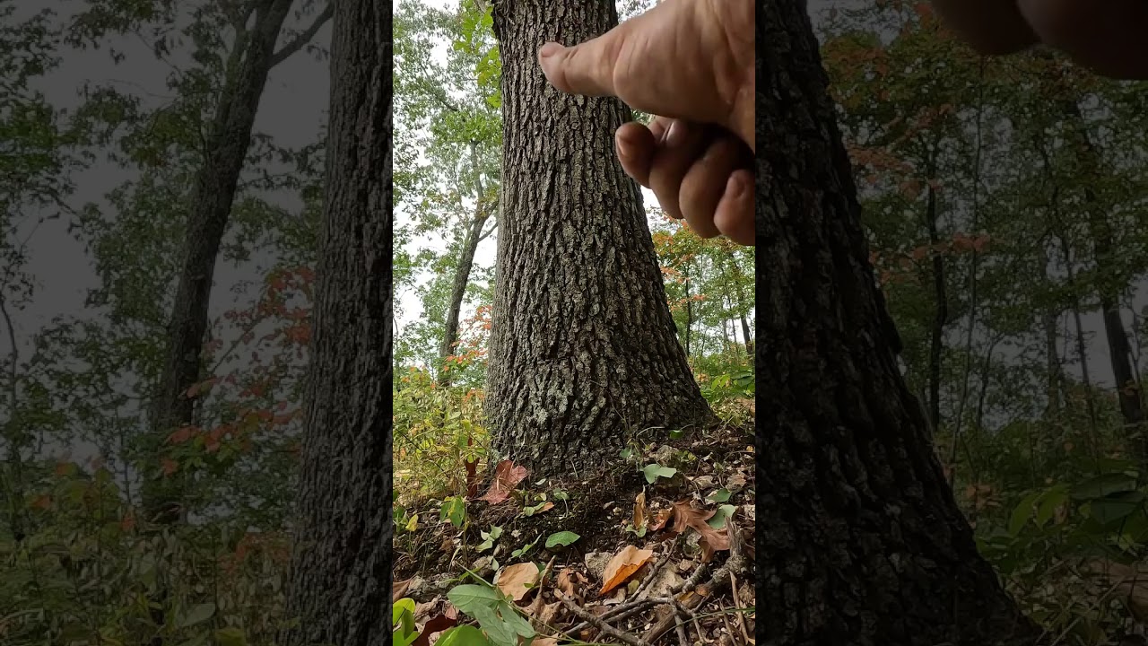 Нет выемки, нет шарнира