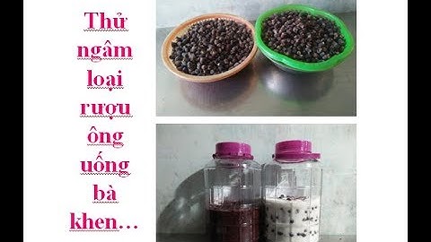 Hướng dẫn ngâm rượu từ quả Sim rừng