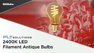 2400K LED Filament Bulbs | Product Spotlight