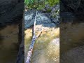 Log and rock hopping to cross the creek. I think I may need to work on my balance.