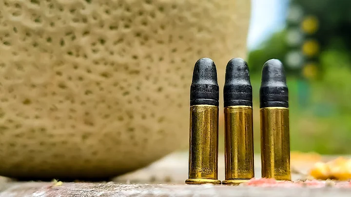 22LR for Self Defense? - Melon Test #shorts