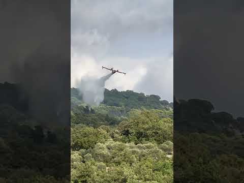 Canadair sgancia acqua