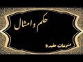 الي يحبه ربه يحبب فيه خلقه الي يحبه ربه يحبب فيه خلقه