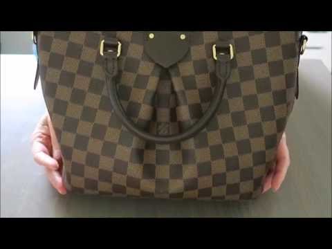 Louis Vuitton - Damier Ebene Canvas Siena Pm Bag