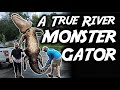 Biggest alligator ever harvested on florida public land gator hunting sns 11