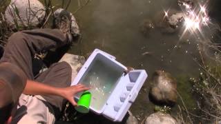 Fish release with fifth-graders at King Nature Park in North Logan