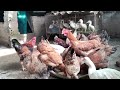 خالد فاندتا Vlog 46 