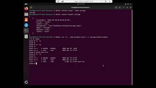 Using Docker volumes for persistent storage
