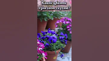 Какой цветок означает скучаю? #shorts