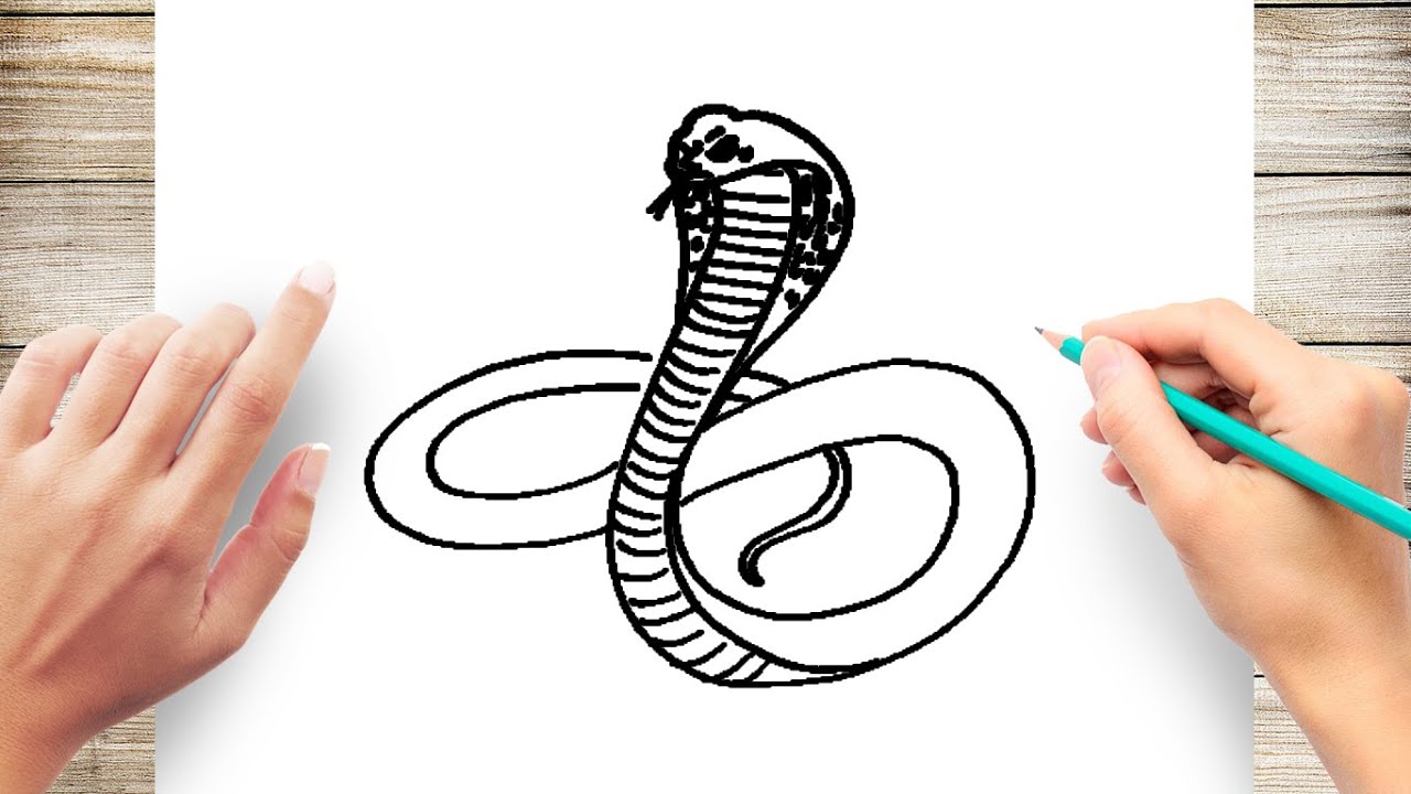 How To Draw A King Cobra Art For Kids Hub