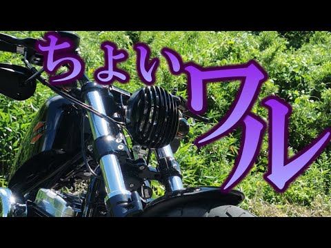 印象激変】ヘッドライトで簡単！格安カスタム！グリルを取り付け
