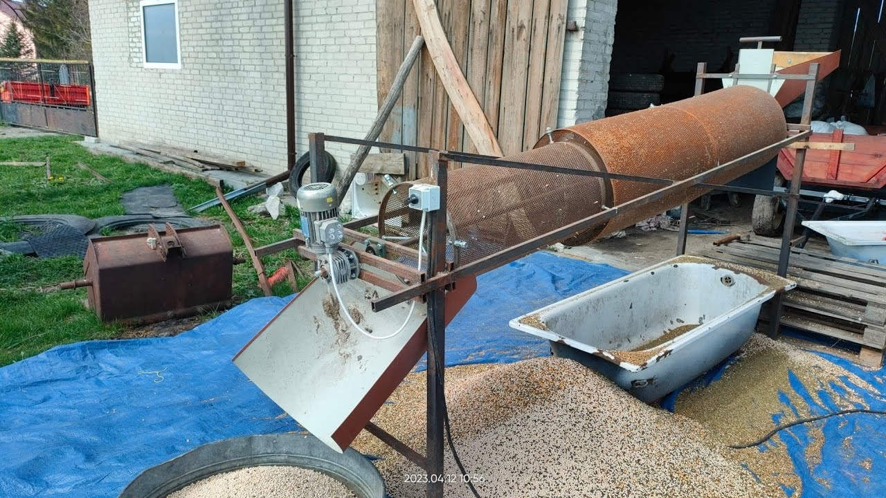 czyszczenie łubinu Oskar do siewu, czyszczalnia bębnowa