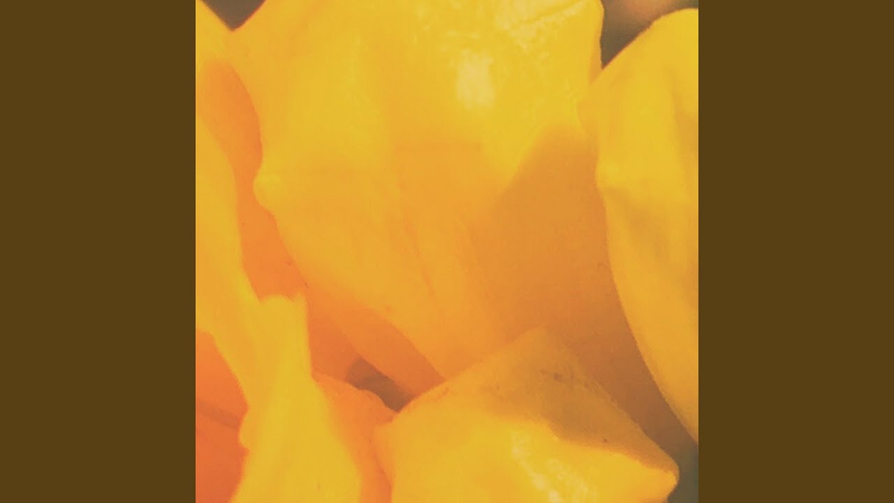 Watch Two Serpents on YouTube Watch Two Serpents on YouTube
