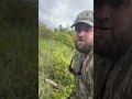 Glades and Grasslands in the Missouri Ozarks! #conservation #glades #grasslands