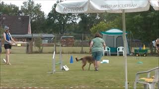 Rally Obedience Turnier 09.07.23  1. Platz Klasse 3