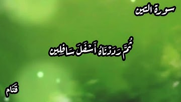 أجمل تلاوة-سورة التين ، حالات واتس اب، مقاطع قصيرة