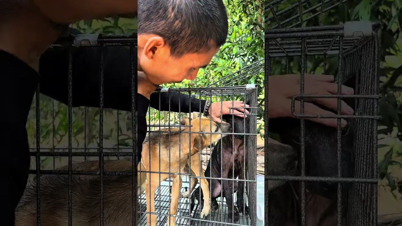 ngày 23 tháng 2, 2026