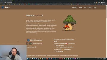 How to Use Spore Bridge with Avalanche and Binance Smart Chain