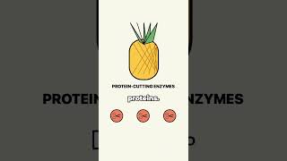 Why Fresh Pineapple Ruins Your Jelly 🍍