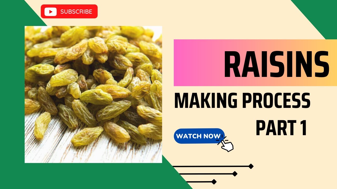 Raisin Making Racks Raisin Making Process Part 1 #raisin #grape #agriculture - YouTube