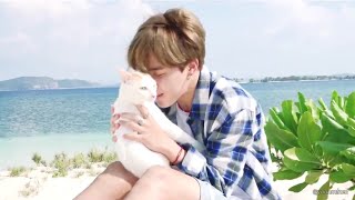 BTS Jimin With Cat MOMENTS