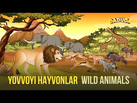 Yovvoyi Hayvonlar - Wild Animals