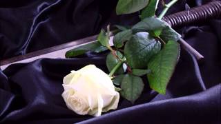 Ertha - Dominus Hominum