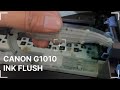 Canon G1010 Ink Flush – Print Problem