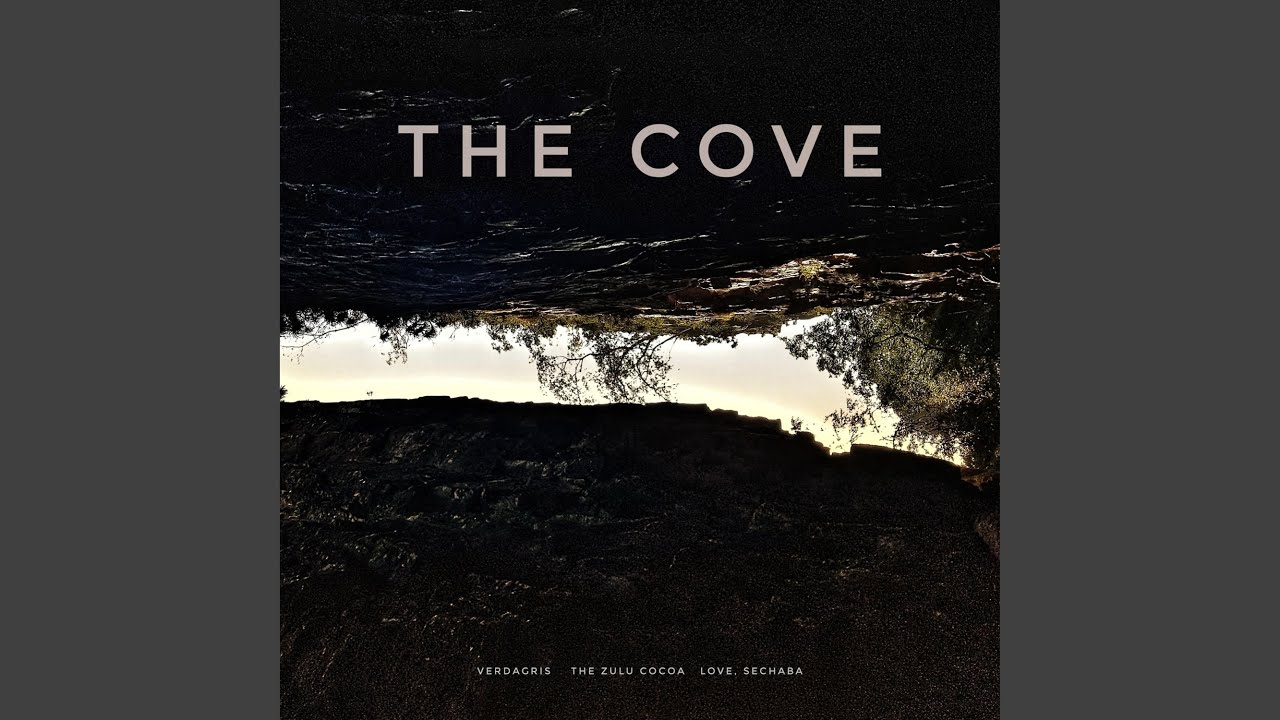 Into the Cove