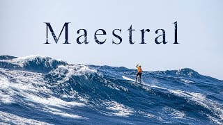 MAESTRAL | L'aventure en pleine tempête des frères Teulade