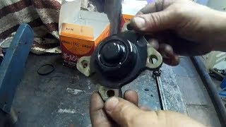 видео: Шаровые подписчику в город  Владикавказ картинка: Шаровые подписчику в город  Владикавказ