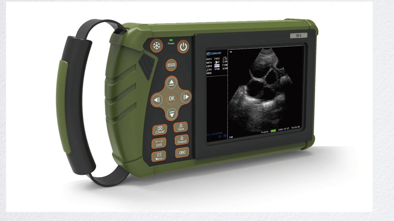 SmartWave Portable Equine Veterinary Shock Wave Therapy Unit – KeeboVet  Veterinary Ultrasound Equipment