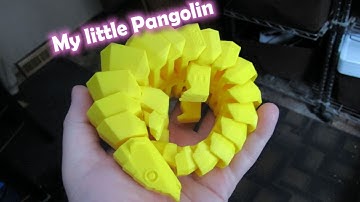 This week I helped save the Pangolin - whats a Pangolin?