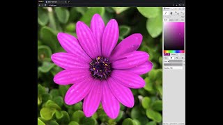 Kleki - Importing Images And Important Tools
