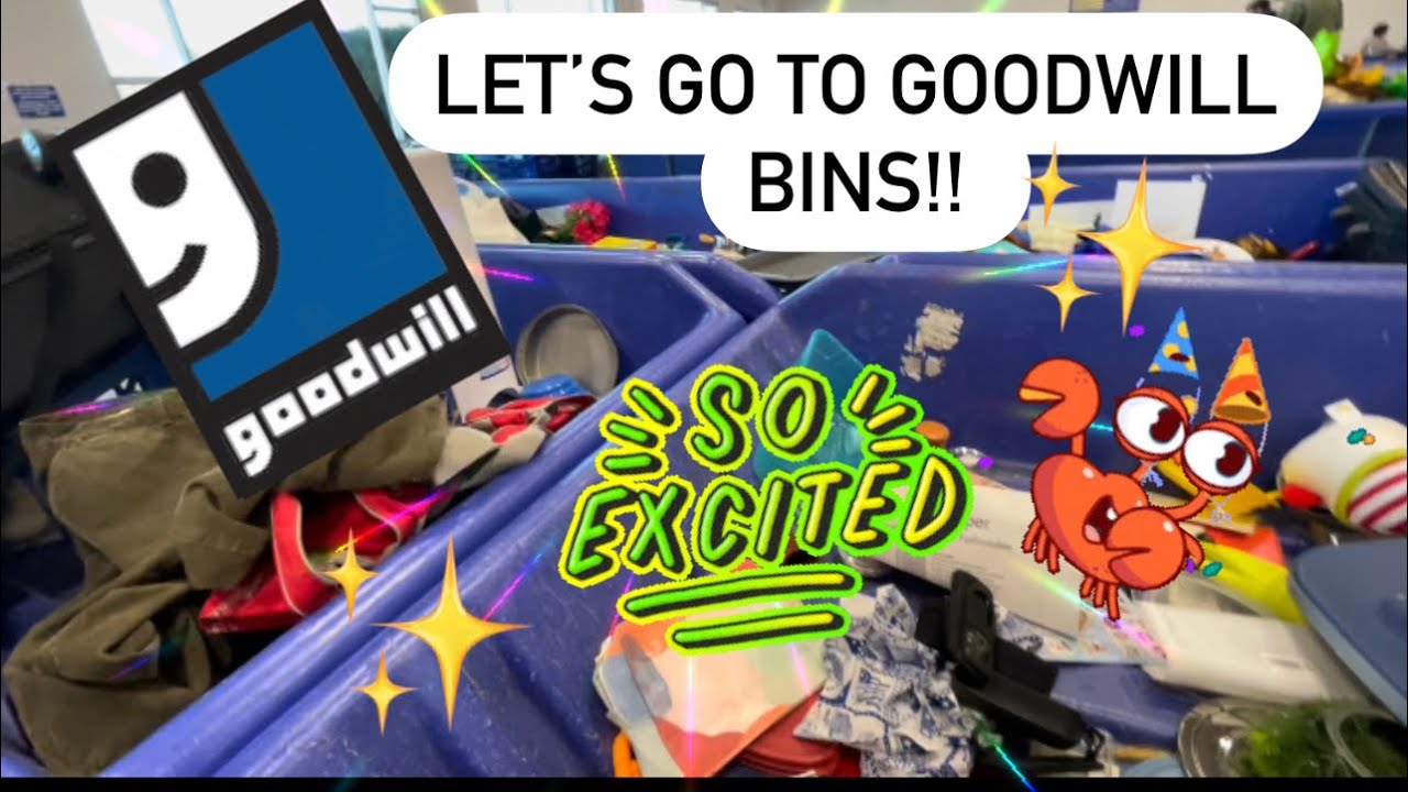 Let’s GOOOOoo Digging at the Goodwill Bins! Thrift With Me To Find ...