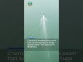 Mechanical Harvesting: Fix Your 80% Water Flow Loss #Shorts