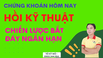 chứng khoán hôm nay: vnindex hồi phục kỹ thuật, chiến lược bắt đáy ngắn hạn