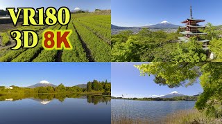 [ 8K 3D VR180 ] 新緑と富士山 Mt.Fuji in the season of fresh green