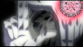 AMV Hellsing. Evanescence