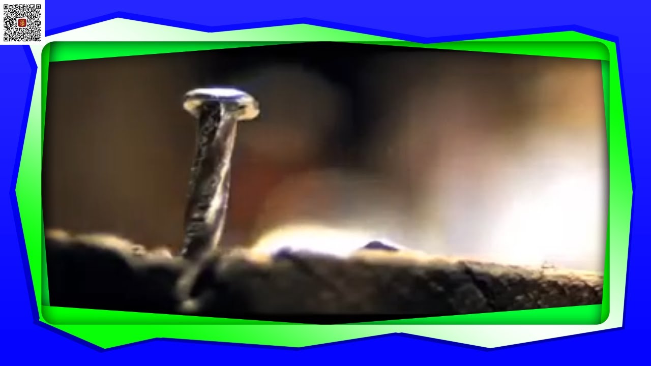 OPPBI UNILEVER LIFE PHP0010307